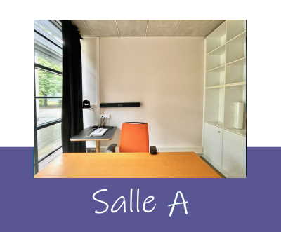 Photo Salle A MSH-Alpes