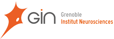 Logo GIN