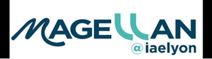 Logo Magellan - IAE Lyon